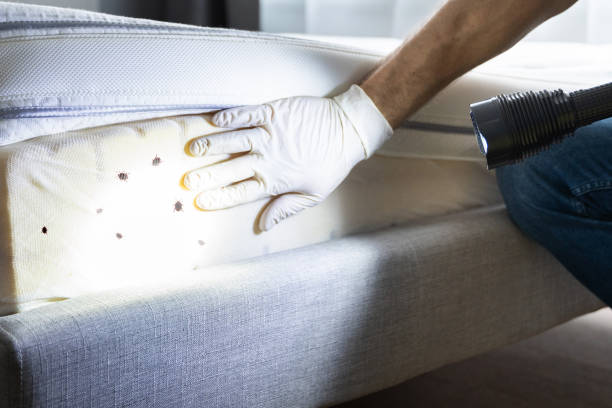 Trusted Cedar Glen West, NJ Pest Control Experts