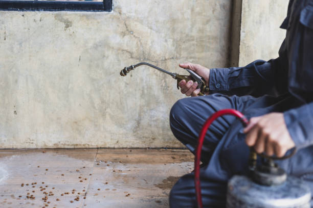 Best Exterminator Services  in Cedar Glen West, NJ